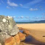 Wilsons prom northern circuit