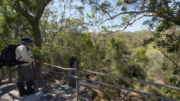 Mooney Mooney Nature Walk (4.2km) Mooney mooney nature walk (4. 2km)