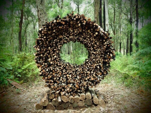 Trail hiking toolangi sculpture trail 600x450