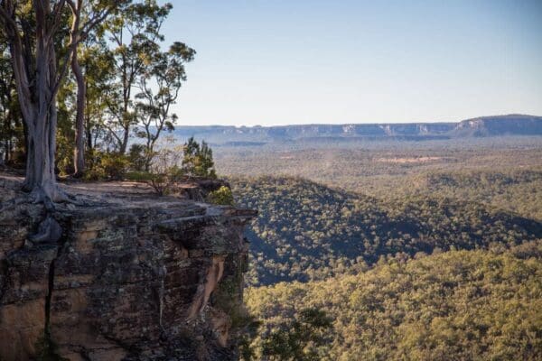 Lake Bindegolly Circuit Hike (9.2km) Boolimba bluff 600x400