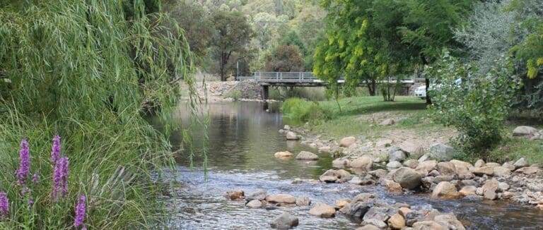 Hume & Hovell Track (426km) Hume and hovell track trail hiking australia 768x326