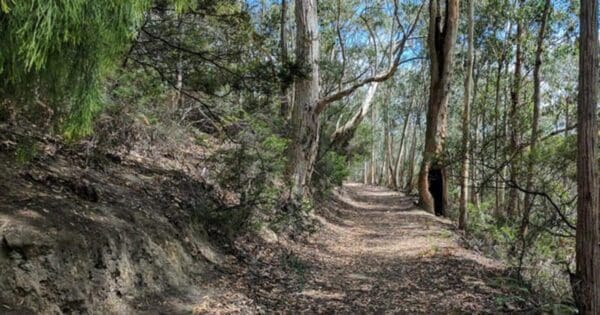 Hikes Kaoota tramway track 600x315