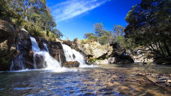 Montana falls 600x338