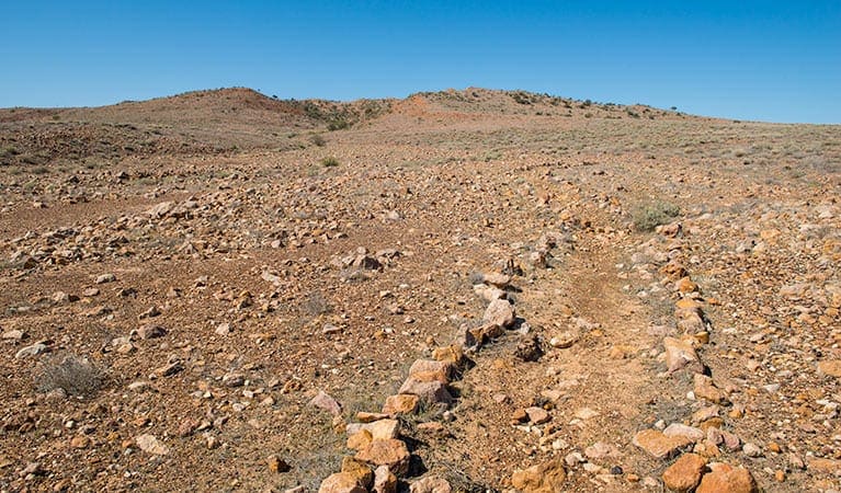 Mount Wood Summit Walking Track (3km) Mount wood summit walking track trail hiking australia