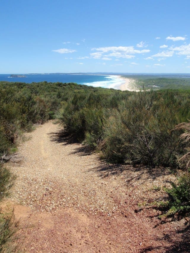 Munmorah Coast Track (3.3km) Munmorah coast track