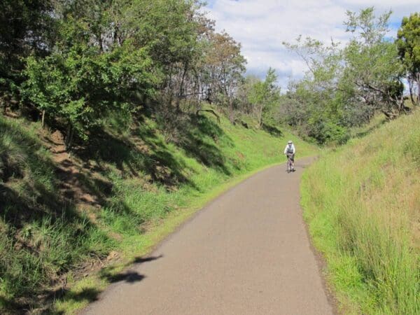 Hikes Rocherlea rail trail 1 600x450