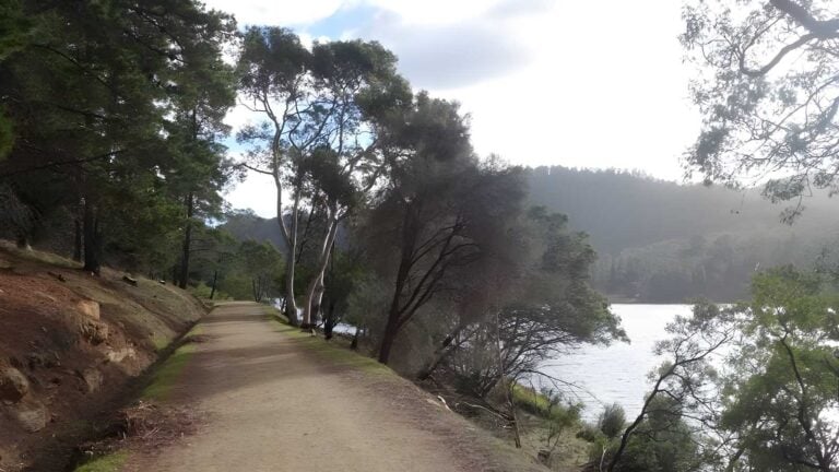 Mount Direction Track (7.2km) Mount direction track (7. 2km)