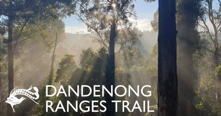 Dandenong Ranges Trail (74km) Trail hiking dandenong ranges trail 768x403