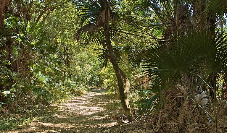 Mungo Walking Track (21km) Mungo walking track trail hiking australia