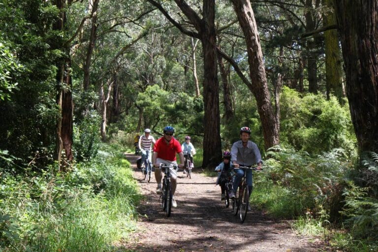 Red Hill Rail Trail (6.5km) Red hill rail trail 768x511