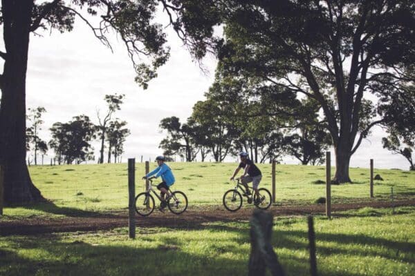 Hikes Wadandi track 600x400