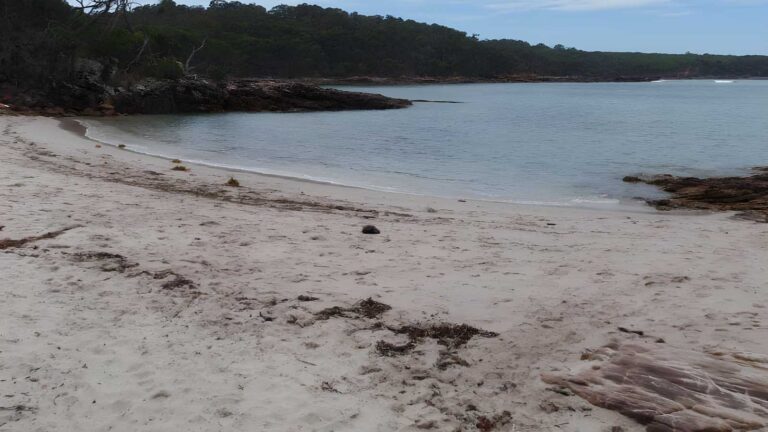Bittangabee Bay: Carpark to Beach Walk (1km) Bittangabee bay: carpark to beach walk (1km)
