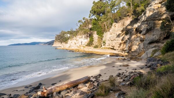 Boronia Beach Track (2km) Boronia beach track (2km)