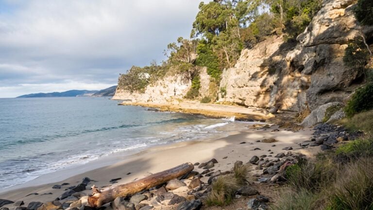 Boronia Beach Track (2km) Boronia beach track (2km)
