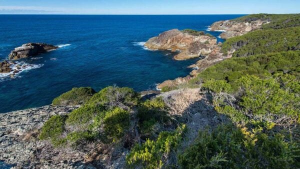 Kangarutha Track to Hobart Beach Hike (11.5km) Kangarutha track to hobart beach hike (11. 5km)