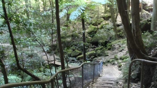 Katoomba Falls Circuit Walk (1.5km) Katoomba falls circuit walk (1. 5km)