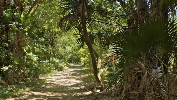 Mungo Walking Track (21km) Mungo walking track (21km)