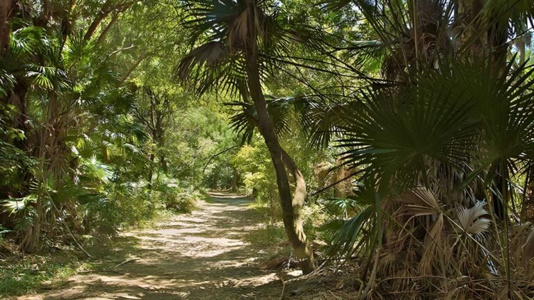 Mungo Walking Track (21km) Mungo walking track (21km)
