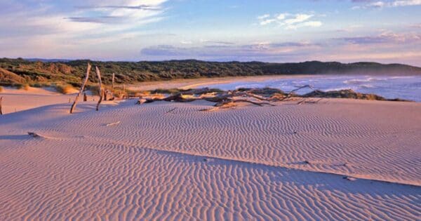 Jewfish Walk (600m) Nadgee wilderness walk trail hiking australia 600x315