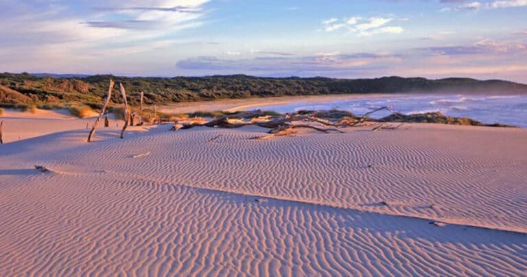 Nadgee Wilderness Walk (55km) Nadgee wilderness walk trail hiking australia 768x404