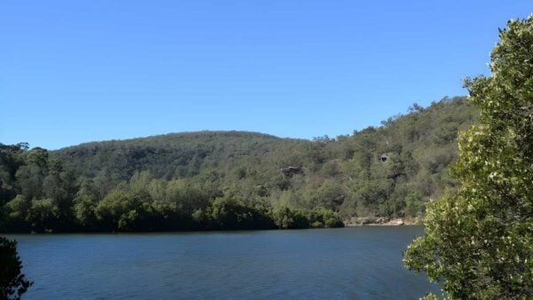 Crosslands to Berowra Creek Lookout Walk (1km) Crosslands to berowra creek lookout walk (1km)