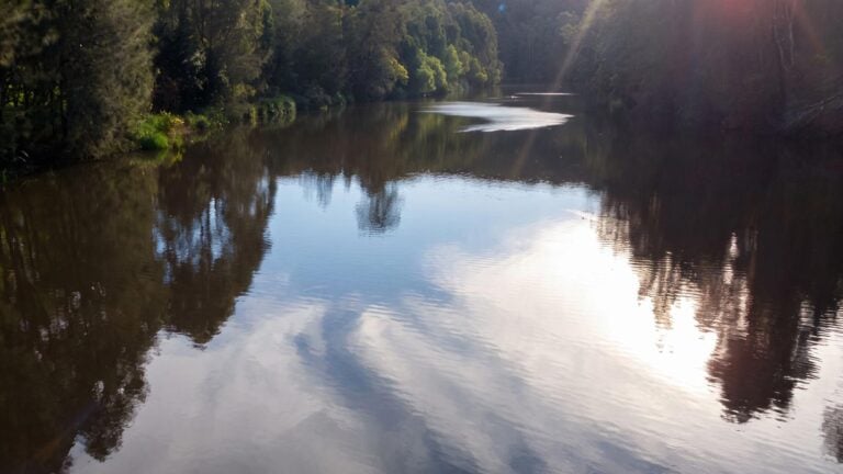 Riverside walk (5. 3km)