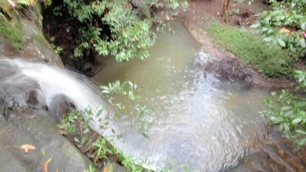 Sheldon cascades walk (400m)