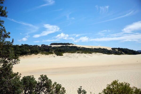 Point Hicks Lightstation Walk (4km) Trail hiking thurra river dunes walk 4 km 600x400