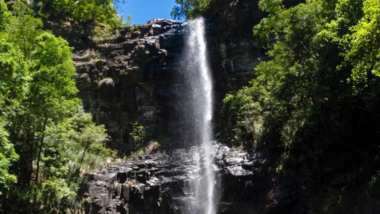 Vera falls track (3. 8km)
