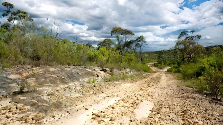 Woodford - oaks trail walk (27km)