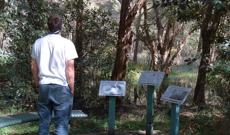Awaba Bay Foreshore Walk (1.6km) Awaba bay foreshore walk trail hiking australia