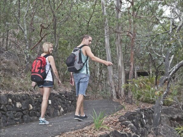 Hikes Denmark hill conservation park trails 600x450