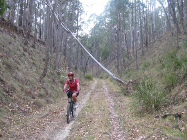 Hikes Great divide rail trail 600x450