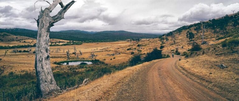 Tasmanian Trail (480km) Tasmanian trail 768x326
