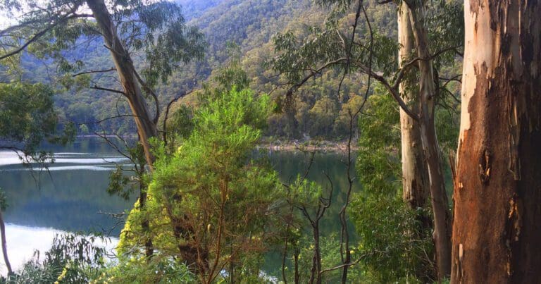 Trip report lake tali karng tamboritha road and mt margaret
