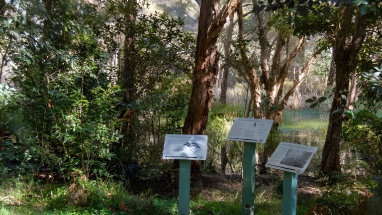 Awaba Bay Foreshore Walk (1.6km) Awaba bay foreshore walk (1. 6km)