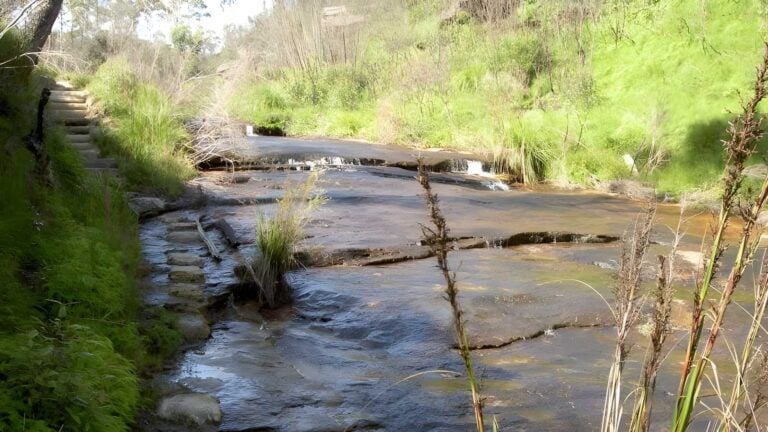 Braeside walk (2. 5km)