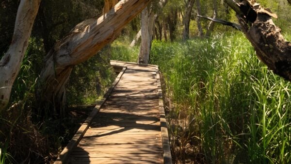 Eaton Foreshore Walk (5km) Eaton foreshore walk (5km)