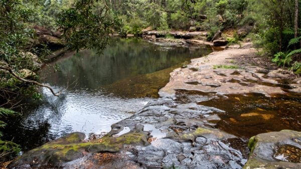 Faulconbridge to blaxland hike (15. 2km)