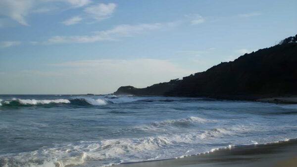 Garie Beach to North Era Beach Walk (3.2km) Garie beach to north era beach walk (3. 2km)