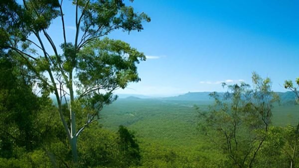 Herveys Range Rail Trail Walk (11km) Herveys range rail trail walk (11km)