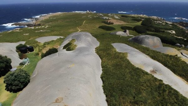 Montague island walking track (1. 5km)