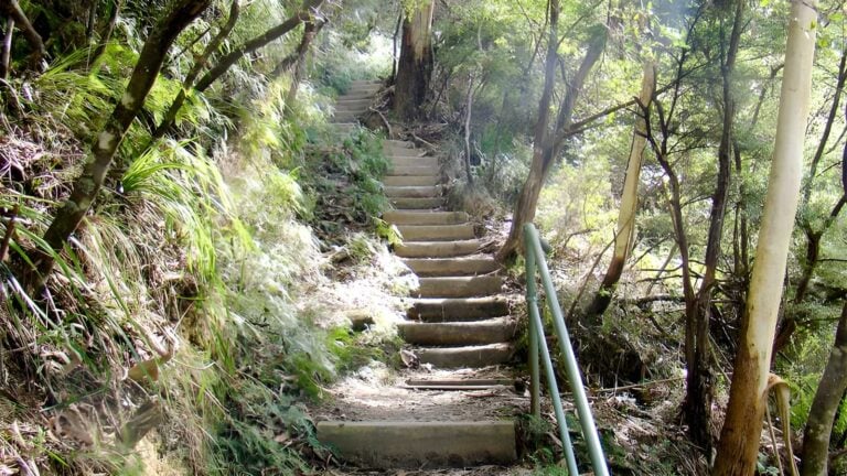 Nature Track (3.3km) Nature track (3. 3km)