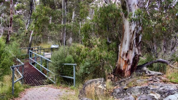 Sawpit walking track (2km)