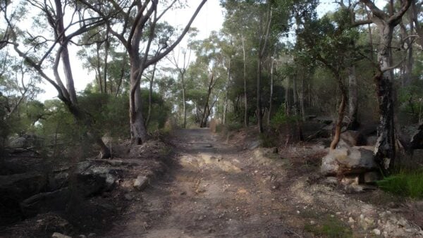 Stringybark Ridge & Zig Zag Creek - Thornleigh Station Hike (6.6km) Stringybark ridge & zig zag creek - thornleigh station hike (6. 6km)