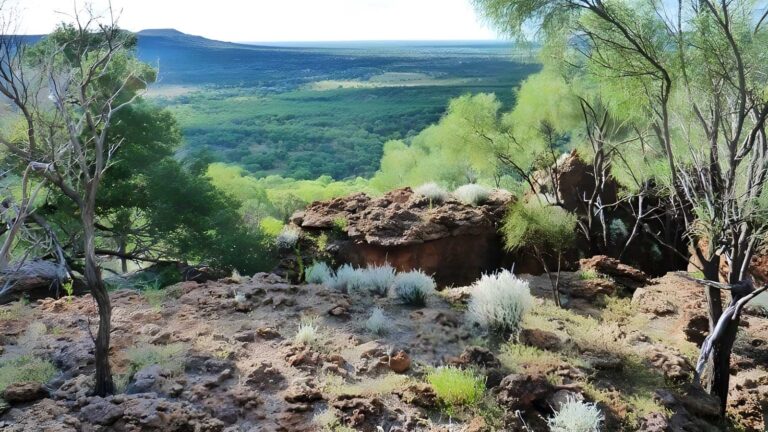 Wave Rock Trail Walk (1.2km) Wave rock trail walk (1. 2km)