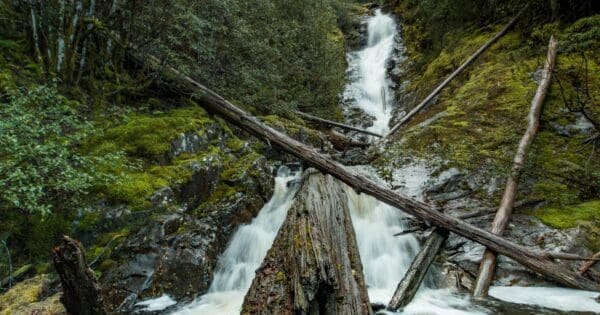 Willies falls 600x315