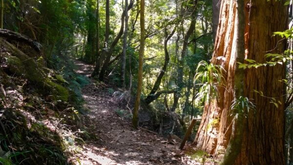 Casuarina Falls Circuit Walk (4.8km) Casuarina falls circuit walk (4. 8km)