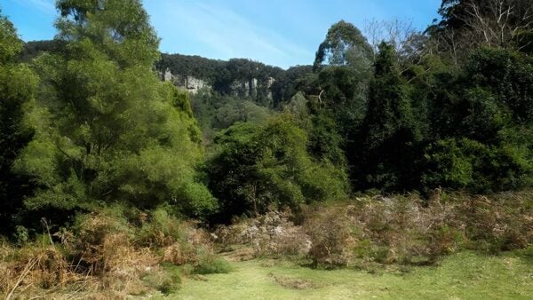 Clover Hill Trail Walk (6km) Clover hill trail walk (6km)