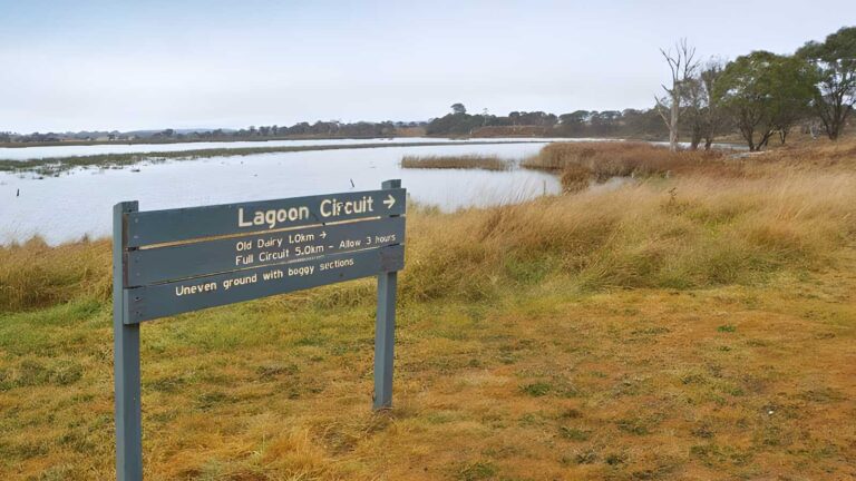 Lagoon circuit walking track (4. 8km)